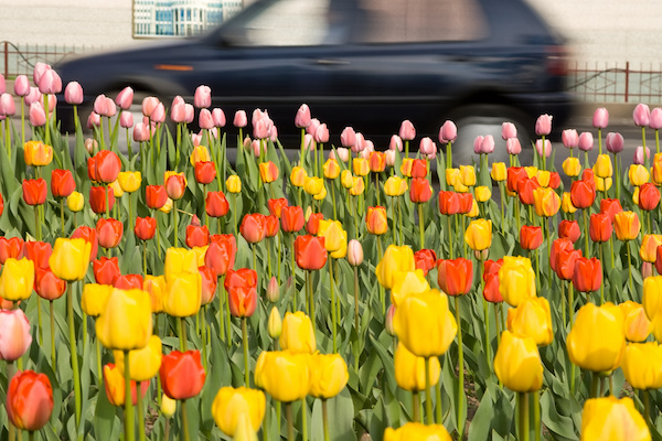 Why Spring is the Perfect Time for Oil Changes